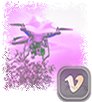VIMEO CHANNEL